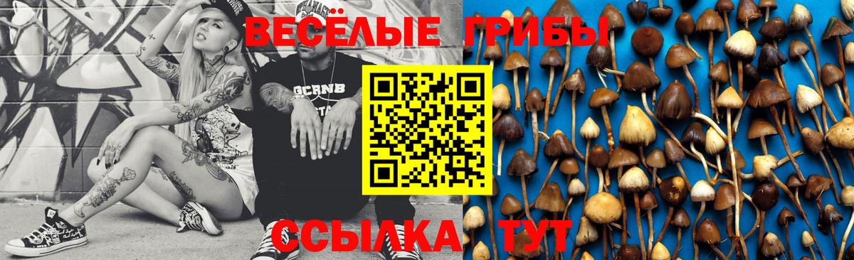 купить закладку  Вход с VPN  Галлюциногенные грибы ЛСД  Черкесск  Псилоцибиновые грибы мухоморы 